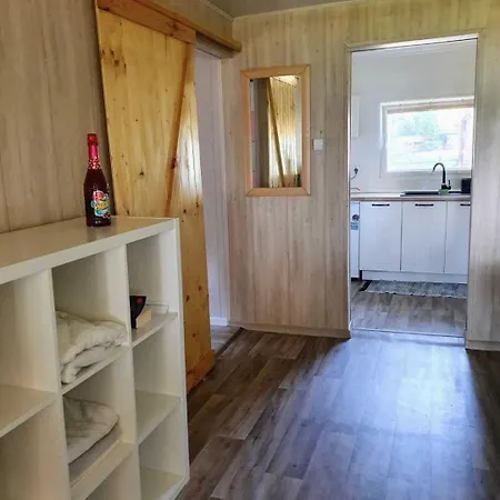 Nad Jeziorem Przy Lini Brzegowej Gorowychy, Pomorze Gorowychy