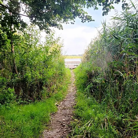 Nad Jeziorem Przy Lini Brzegowej Gorowychy, Pomorze 別荘 *