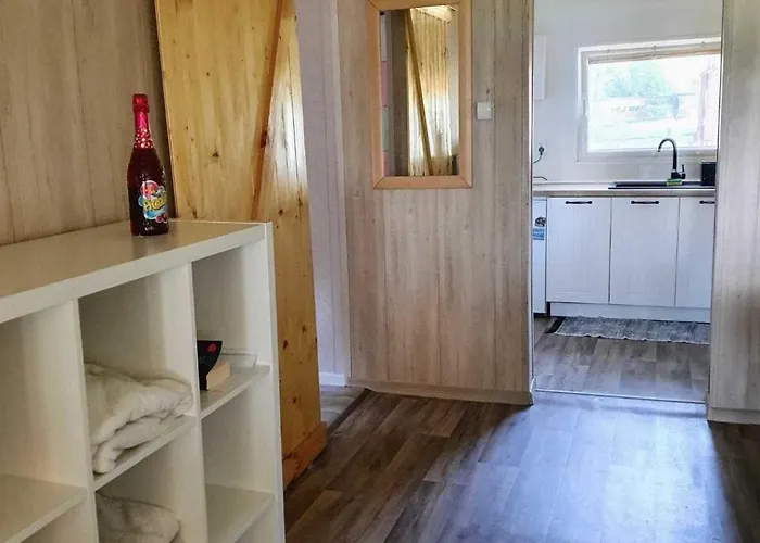 Nad Jeziorem Przy Lini Brzegowej Gorowychy, Pomorze Gorowychy